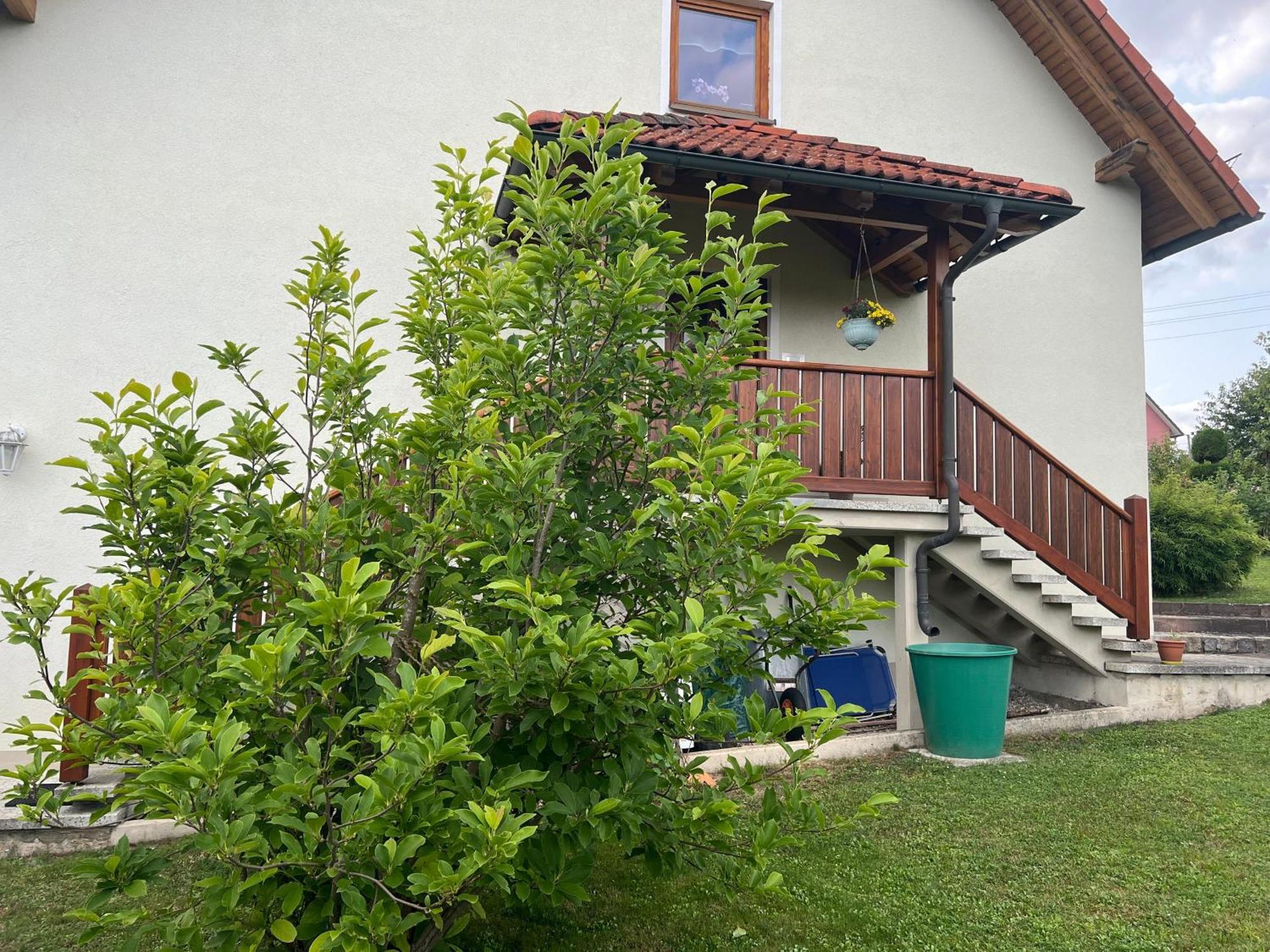 Ferienwohnung Doerfler Hollfeld Extérieur photo